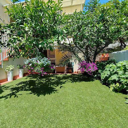 Apartments Gareta Gradac  Exterior photo